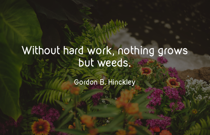 menakabharathi's tweet photo. every crop needs care, every child needs attention - every work is hard work - all we need is consistency and a little hard work #SIMQuotes #mindfulliving https://t.co/eTmMGCbxi4