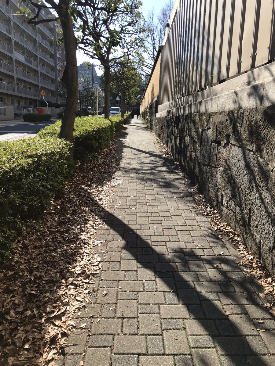 まきりんぱな… 