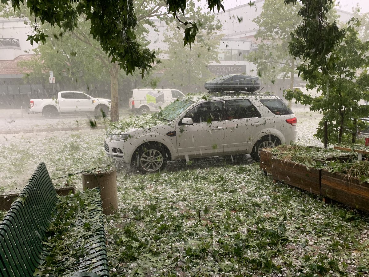 #hail golf ball size and lots of it shredding trees <a href="/BOM_NSW/">Bureau of Meteorology, New South Wales</a> <a href="/SevenNetwork/">Seven Network</a> <a href="/abcnews/">ABC News</a> <a href="/ABCRural/">ABC Rural</a>