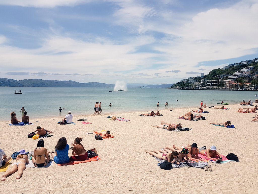 wedophotography's tweet photo. Welly you beauty. #whywelly https://t.co/fChW6UaPqH