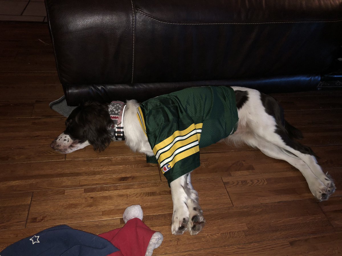 Kirk_Uttech's tweet photo. The Packers did this to my dog https://t.co/KS4iRA8pPp