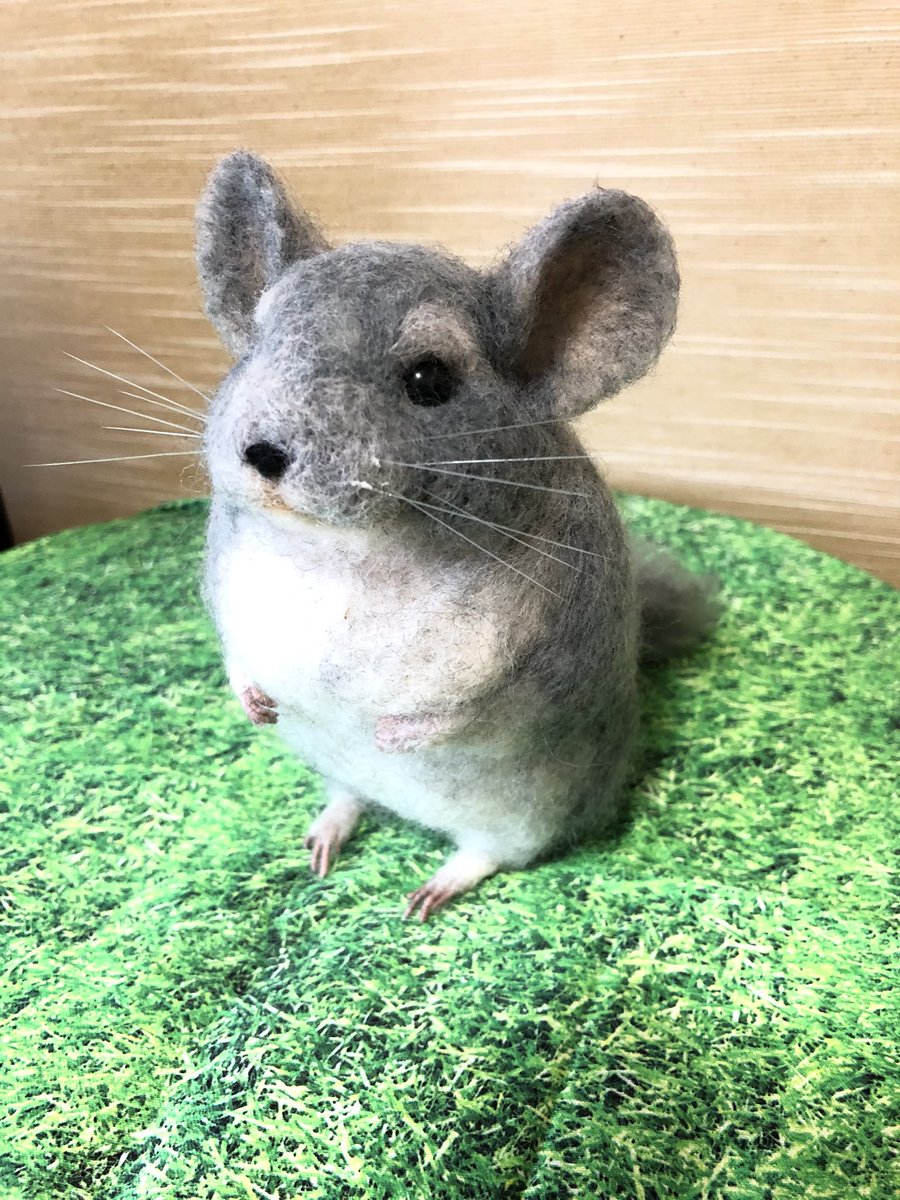 チンチラネズミ チンチラネズミ