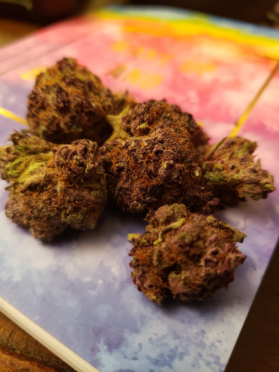 My dealer told me to come over, he had something special for me...

...I've never seen nugs this dark of a purple...

I feel like I'm smoking unicorn poop
   🦄💩🦄💩🦄💩🦄💩🦄💩🦄