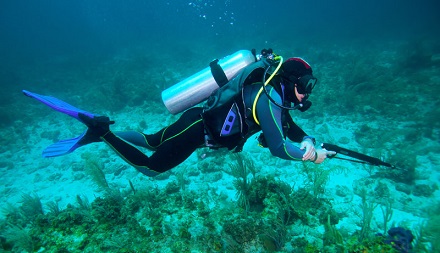 ScubaChoice's tweet photo. Where to Go Spearfishing in Florida? - https://t.co/i1kFDhEFGU

#scubadiving #spearfishing #scubalifestyle #scubadive #spearfishinglifestyle #spearfishingguide
#surfinggear #Divinggear #DivingEquipment #divingdestinations #topdiving #divinglifestyle #divingislife https://t.co/LuXBjcmi7M