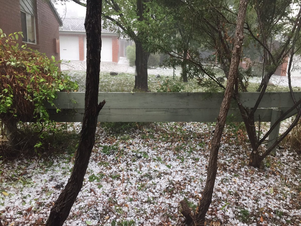 RifaeeRasheed's tweet photo. Golf ball size Hail in #Canberra Never seen anything like this! https://t.co/gux0pqV1I0