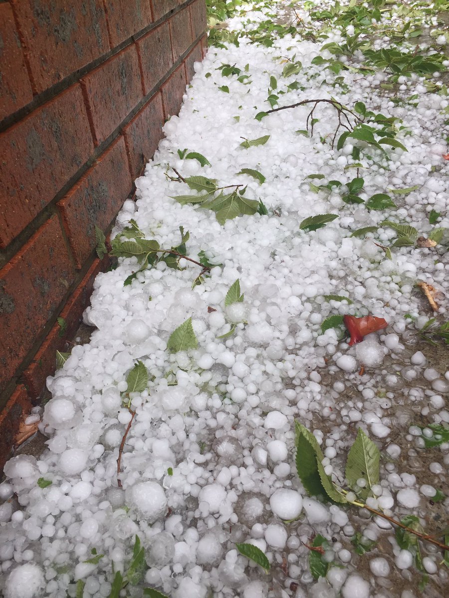 RifaeeRasheed's tweet photo. Golf ball size Hail in #Canberra Never seen anything like this! https://t.co/gux0pqV1I0