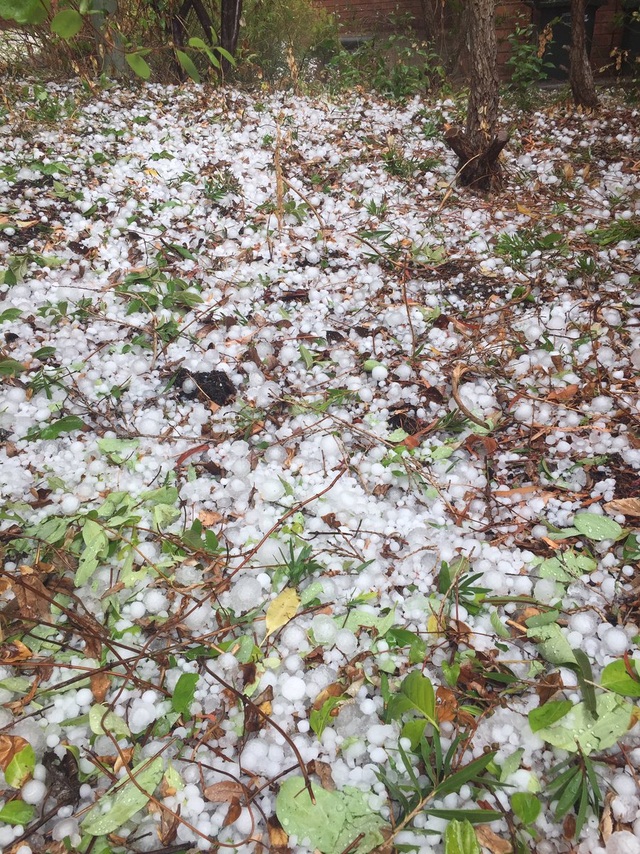 RifaeeRasheed's tweet photo. Golf ball size Hail in #Canberra Never seen anything like this! https://t.co/gux0pqV1I0