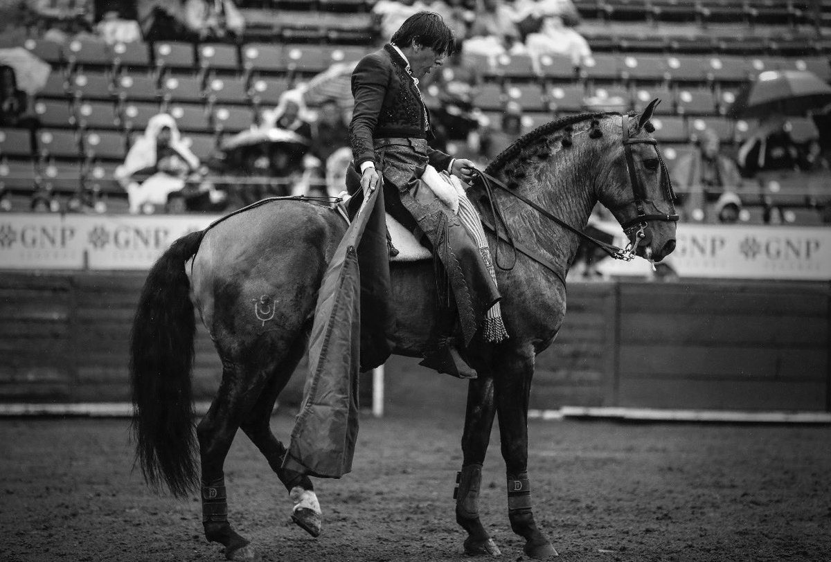 NTR Toros tweet media