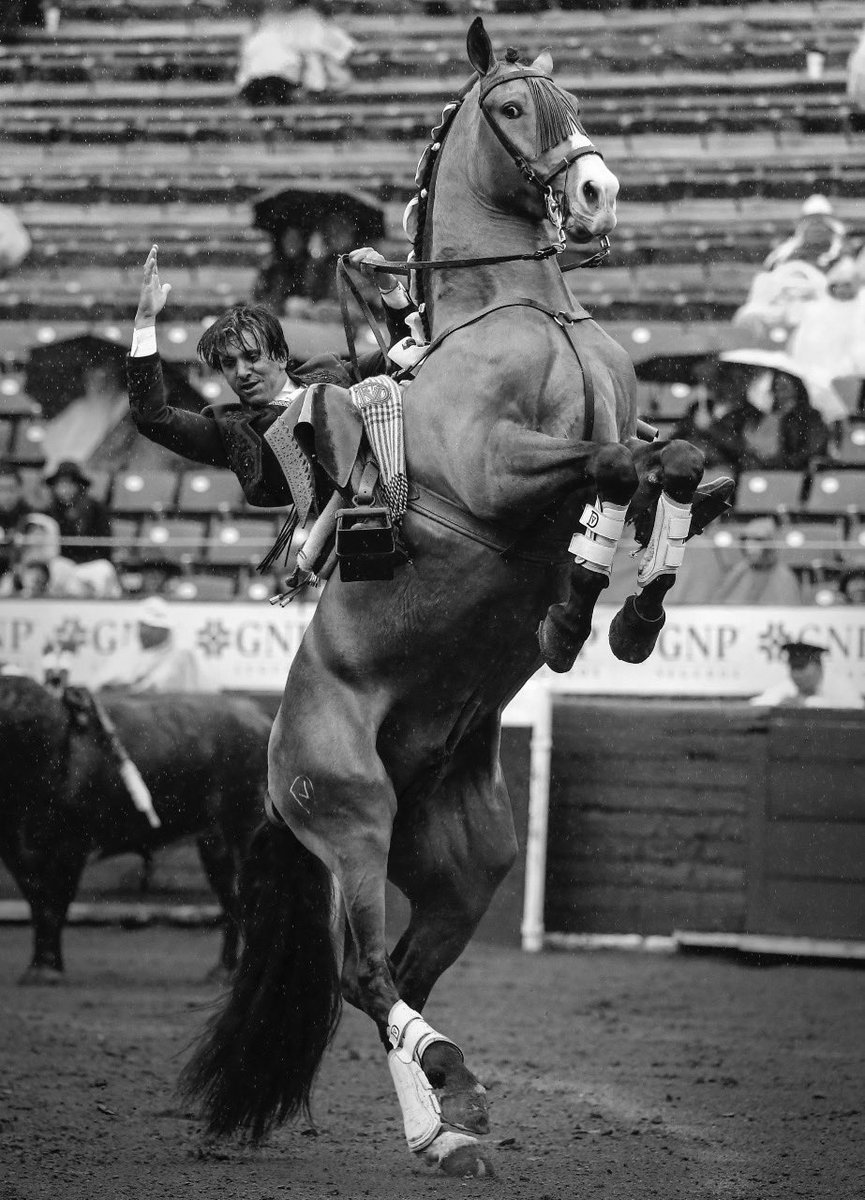 NTR Toros tweet media