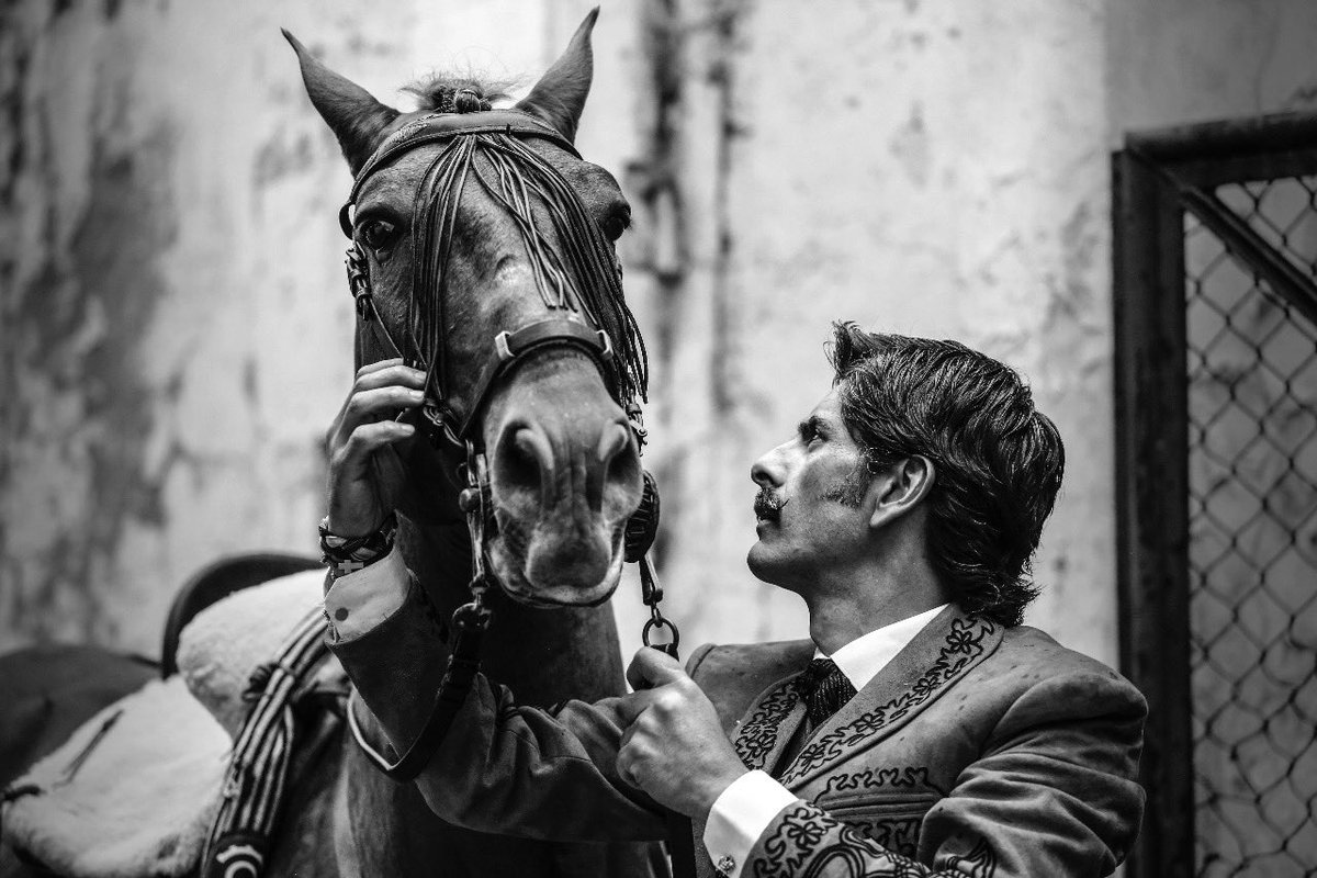 NTR Toros tweet media