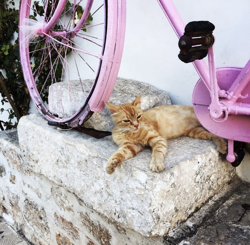 GlobalBabes's tweet photo. We hope you enjoyed the sunshine this weekend, but Monday means back to work! What are your goals for this week?

#whatareyourgoals #globalbabeofficial #womeninbusiness #bethechange #globalbabestyle #protectyourbestasset #travelinstyle #resortwear #savetheplanet #slowfashion https://t.co/yGwlJdA5Vc