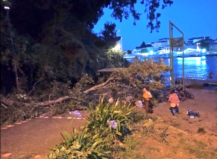cifag_araucania's tweet photo. Caída de árbol dejó varios lesionados en Valdivia
https://t.co/B1hc2AKifC https://t.co/ZnOXlDR3m0