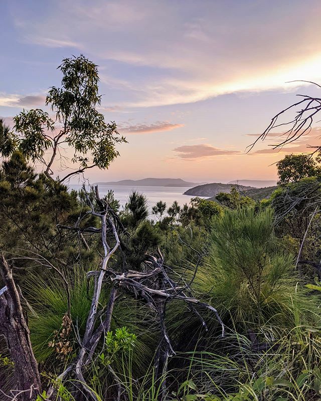 jaani's tweet photo. Sunset hike on Hamilton Island #australia #visitqueensland #travel #hiking #landscapephotography #teampixel #shotbypixel #landscapelovers #sunset #clouds #sky https://t.co/VtnuR5lEfy https://t.co/SrEeuNllTa