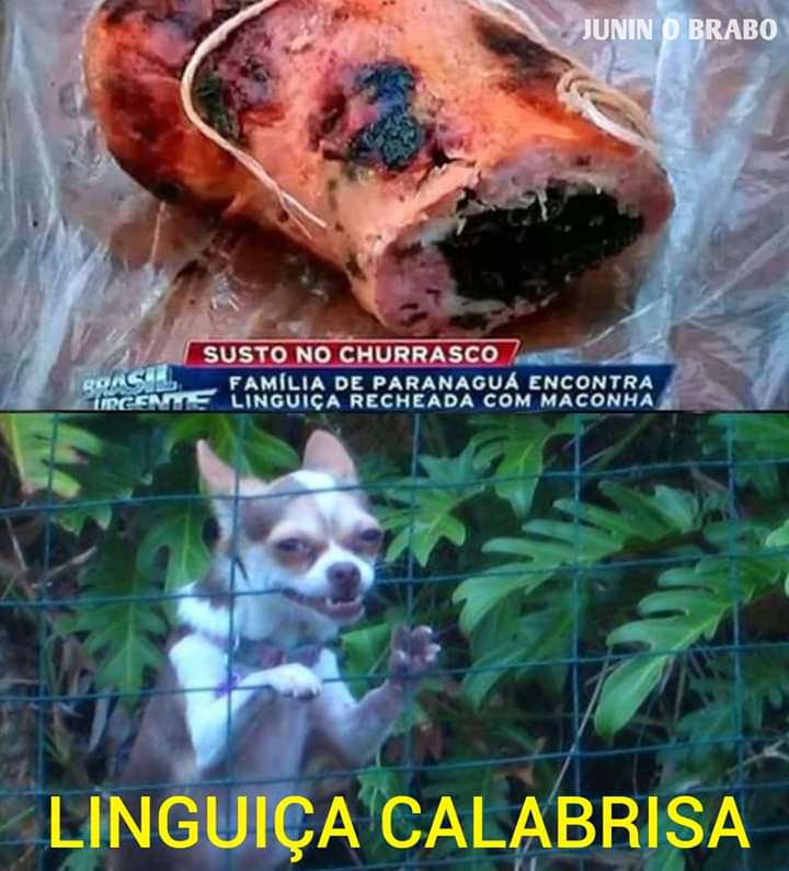 pahulinnhoo's tweet photo. Única coisa que faltou no churras do domingão https://t.co/XO4ytPrFzd