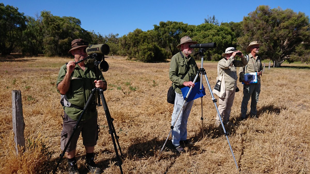 Waterbird survey at Lake McLarty with DBCA's Adrian Pinder &amp; Geoff Barrett with support from Bill Russell &amp; Bob Paterson.  This work will identify sites to be assessed for invertebrates later in the week.  @AusLandcare <a href="/PeelHarveyCC/">PeelHarveyCC</a> <a href="/Science_DBCA/">Biodiversity and Conservation Science</a>