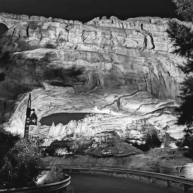 HighTechRealtor's tweet photo. Artifical Nature
.
.
.
.
. .
.
.
#anaheim #disney #californiaadventure #california #oc
#orangecounty #blackandwhite #p30pro #nature https://t.co/wrMysIvQe7 https://t.co/7FqOE6Htmc