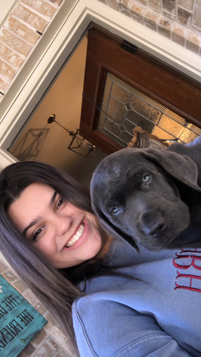 _itshaileyyyy's tweet photo. Meet boddie !! We’re working on his selfie skills https://t.co/LKSuopzK2z