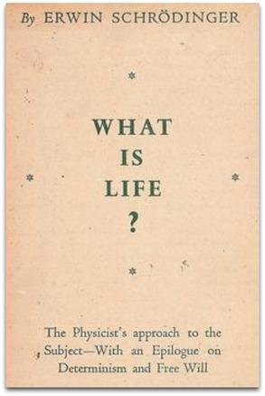 what is life schrodinger what is life schrodinger