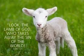 oslced's tweet photo. Not everyone is gifted or called by God to take a leadership role. As followers of Jesus we are meant to look like sheep from the front, but like shepherds from behind. We are not all called to be leaders, but we each have a role in leading others to... https://t.co/PbYaOwXT5S https://t.co/g8DVHlE7jq