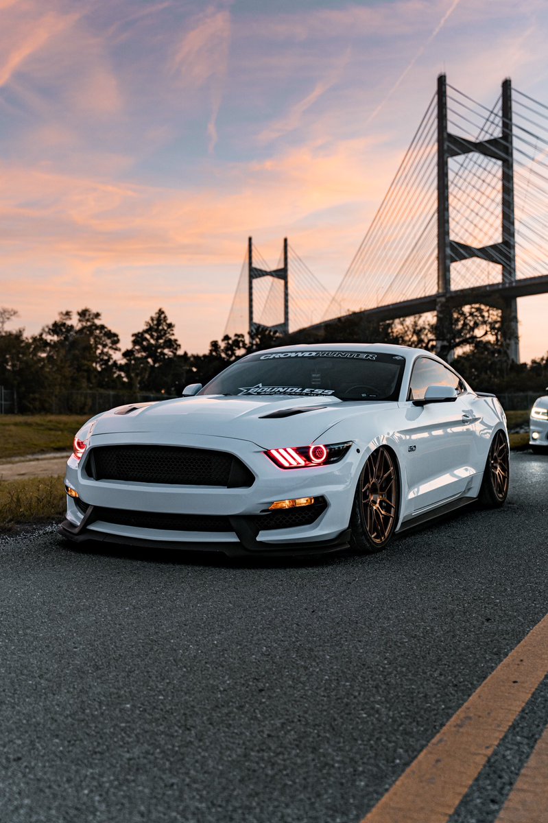 _MRKSMN's tweet photo. You know what the vibe is, you the one I vibe with #mustang #airlift #carporn https://t.co/TqMDlEsW8e