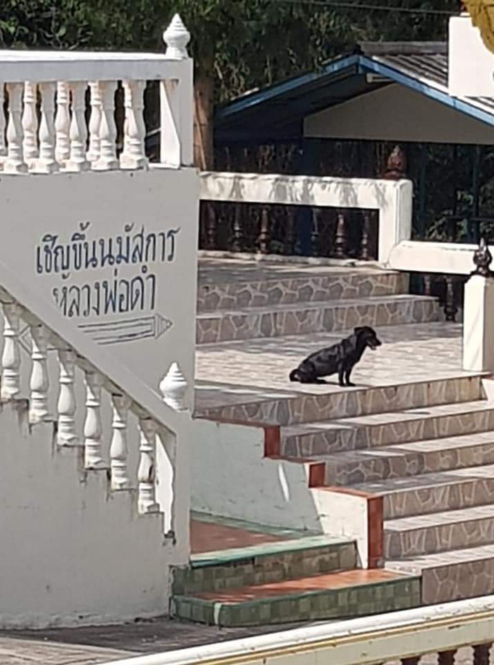 ดาบ close tweet media