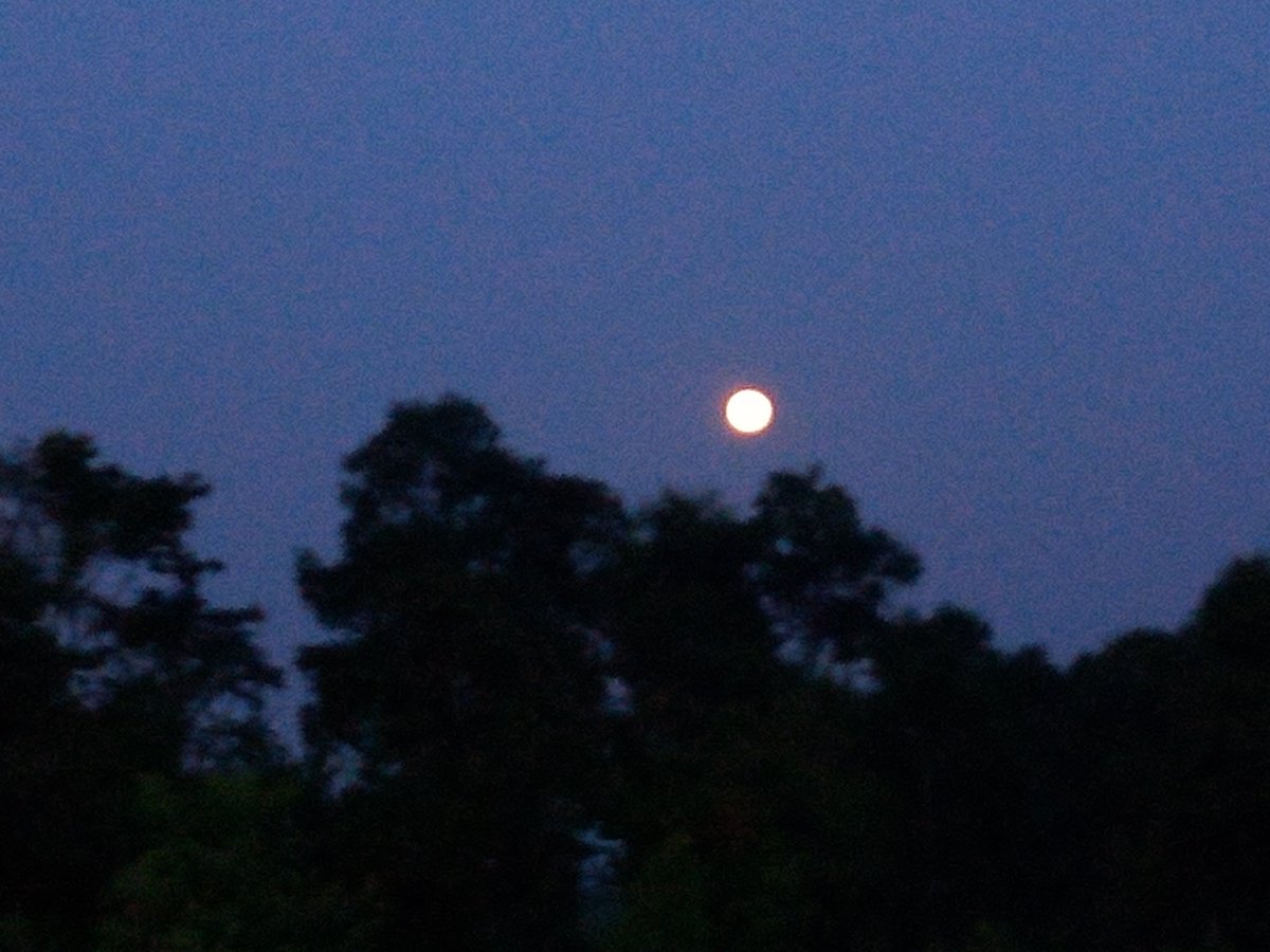 CycadEntebbe's tweet photo. We enjoy the moonlight by the shores of Lake Victoria in Entebbe. It is cosy and all good at Cycad Entebbe Guest House. https://t.co/Flzea1PVb7 https://t.co/UtrwiGAZ4H