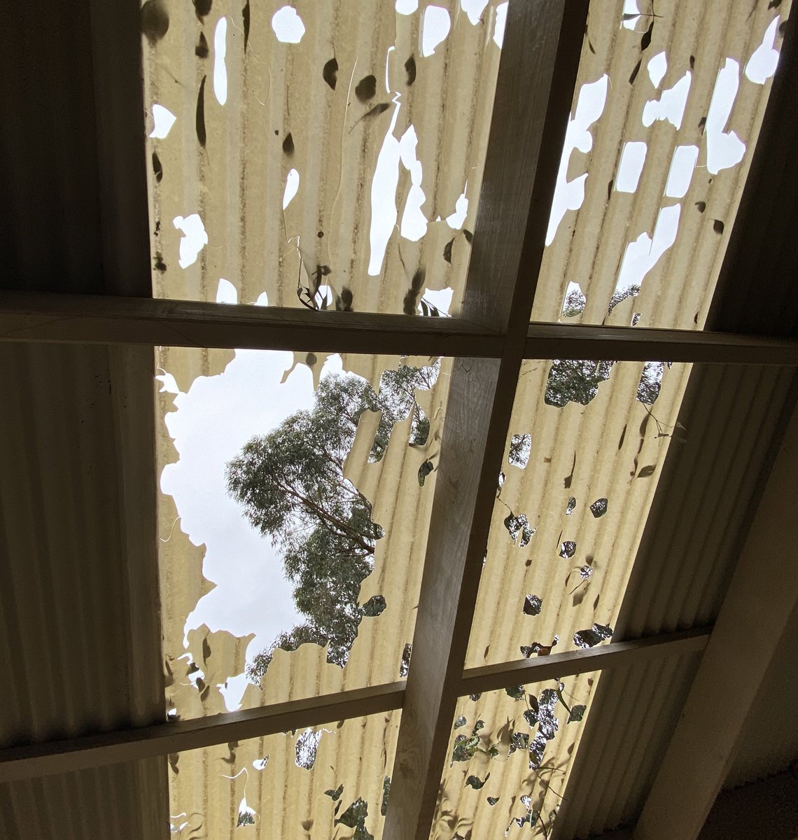 Emergency_Life's tweet photo. 🇦🇺 #VicStorms #ACTstorms: So the storms that lashed us here in #Melbourne yesterday, repeated in Canberra. Smashed windows, hundreds of cars storm damaged. All too familiar are we clean up here in #Warrandyte, Victoria, chainsaws buzzing nearby... looking up at the sky... https://t.co/3ZCXHnTr1i