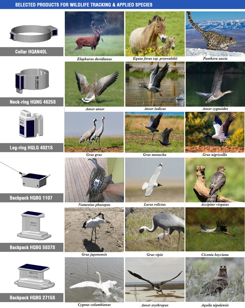 FarsoonAM's tweet photo. @FarsoonAM is proud to help conservation of wildlife with #customized #trackers make by our #plastic #additive #technology #HT403P.
https://t.co/r1Fxz7apak
#additivemanufacturing #3dprinting #Farsoon #plastics
#conservation #ecology #birds #tracking #migration #environment https://t.co/lXLtNFrIxQ