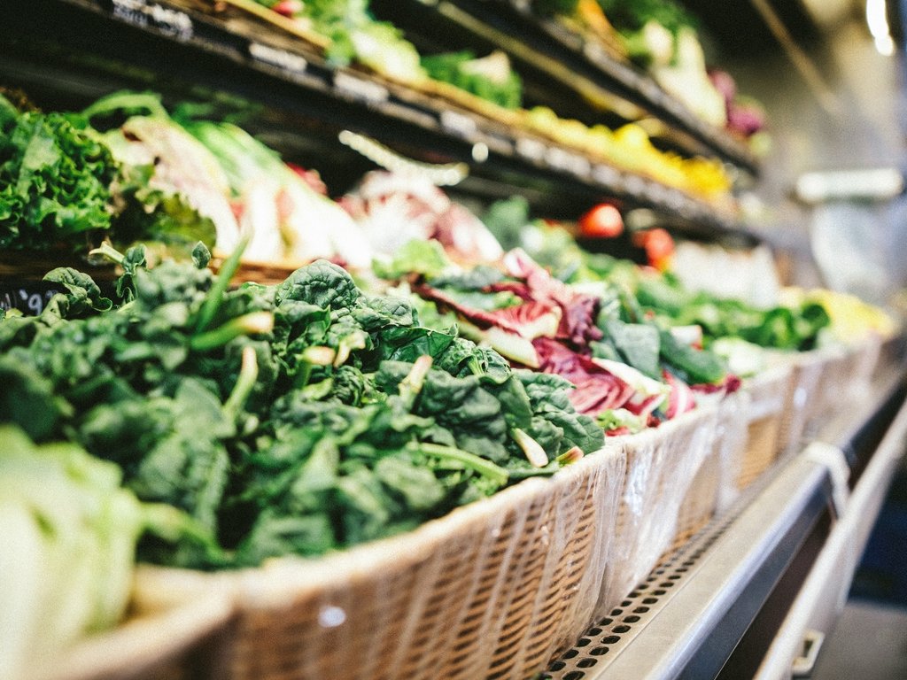 SpectacleShopCA's tweet photo. A great way to bolster your vision is through nutrition. There are a host of foods containing important nutrients and vitamins for eye health. Check out our guide to the best foods for #eyehealth and recipes that include them: https://t.co/iTHsbssHTt 🤓🥬 #SpecShopCa #Kerrisdale https://t.co/37E8vR9O3m