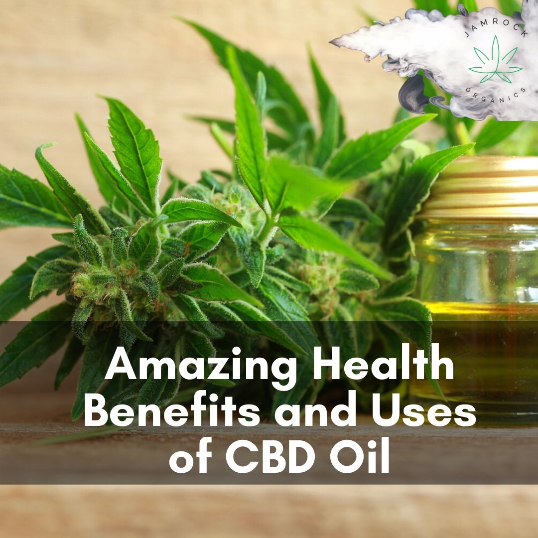 JamrockOrganics's tweet photo. Amazing Health Benefits and Uses of CBD Oil For Pain, Anxiety &amp; Cancer Plus Side Effects https://t.co/tqHcH59MpW #welcometojamrock #hellojamrock #jamrock #janrockorganics #jamrockwellness #cbdhealth #cbdeducation #Jamaican #Michigan https://t.co/yYV6Vk6yhT