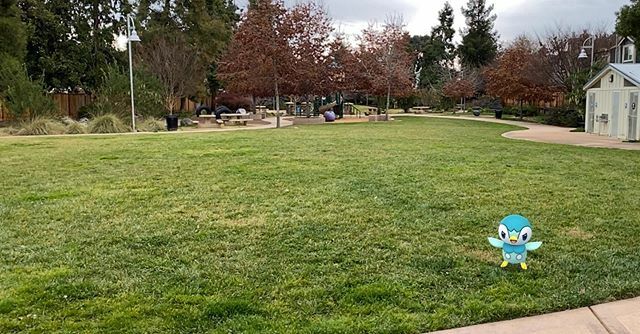 spindaround's tweet photo. an empty park on community day?? piplup is rightfully outraged. #pokemongo #pokemon #pokemongoplus #pokemongocommunityday #gosnapshot #piplup #shiny #ztdnews https://t.co/7ViYiqAd0g https://t.co/tk79FWNTzl