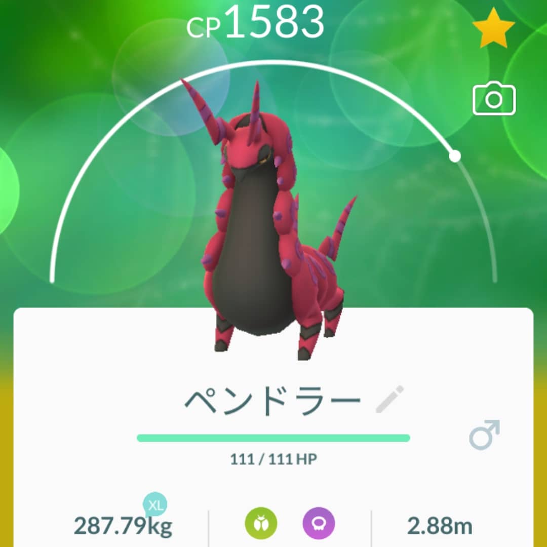 レインボーママ En Twitter ペンドラーに進化できた Pokemongo Pokemongo ポケモンgo ペンドラー Scolipede ホイーガ Whirlipede フシデ Venipede Seattle シアトル T Co Rguuswgbtj Twitter