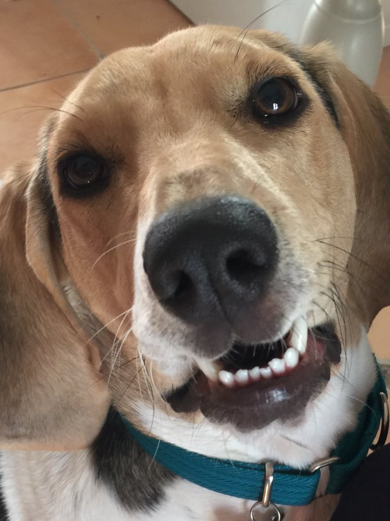 PiperMadison's tweet image. You know it was a fun day when nobody tweets about what they did that day. 😂#aintnobodygottimeforthat #havingfun #lovinglife