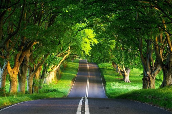 hakamqasira's tweet photo. اذا كُنْتَ تُرِيدُ الانْخِراط فِي طَرِيقِ الاحترام 

فعليك احْتِرَام نَفْسِك اولاً . . .  

-خالد الجعيدي . 
#حكم_قصيرة https://t.co/aGfHxf54Bu