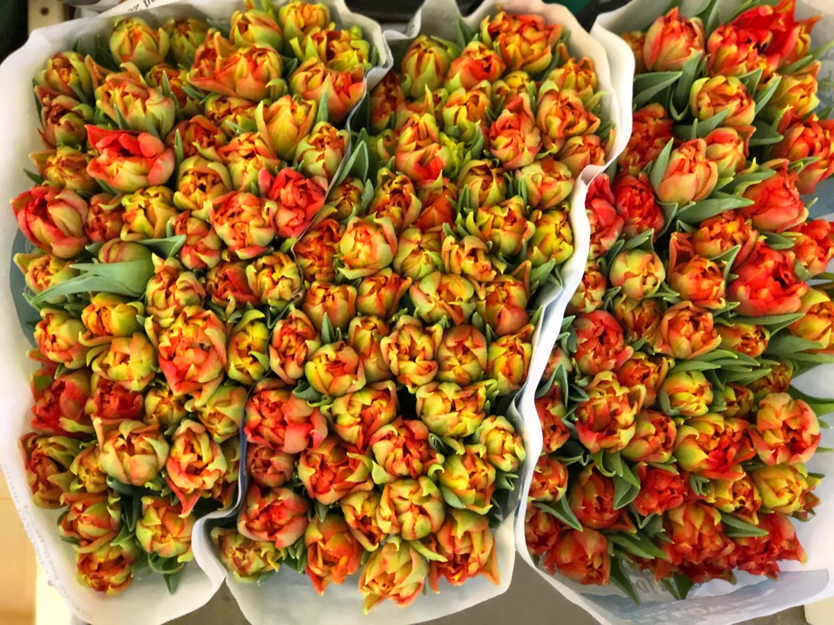 Good morning from Chelsea.