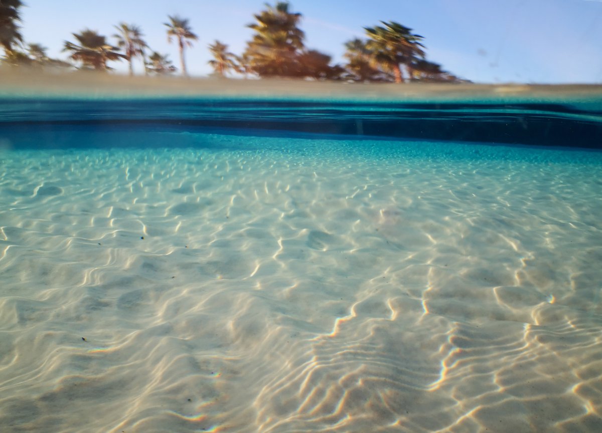 Caribe_Bay's tweet photo. Oggi è il #bluemonday! Ma come si fa ad essere tristi pensando al blu di Caribe Bay??? Tenete duro l'estate non è poi così lontana!!
#caribebay #themed #waterpark #venice #icaraibinonsonomaistaticosìvicini #blue #Monday #waitingforsummer2020 #jesolo #venice #nocry #onlysmile https://t.co/yrJTPsVgyg