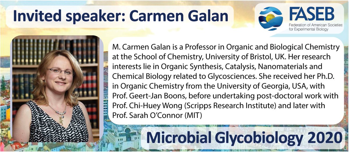 FASEB_Microbial_glycobiology_2020 tweet media