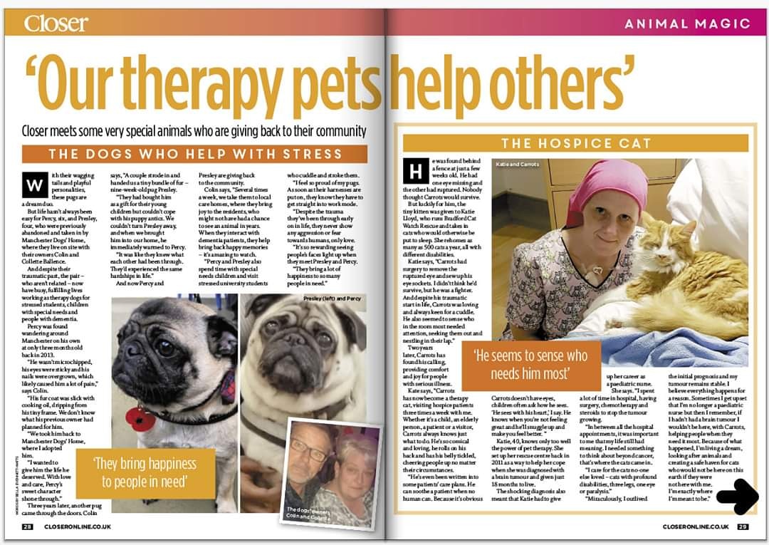BCWRkittens's tweet photo. Our Carrots' made it into Closer magazine this week too! #bcwr #closermagazine #mariecurie #therapycat #petsastherapy #carrotsthetherapycat https://t.co/LotRy2xXEn