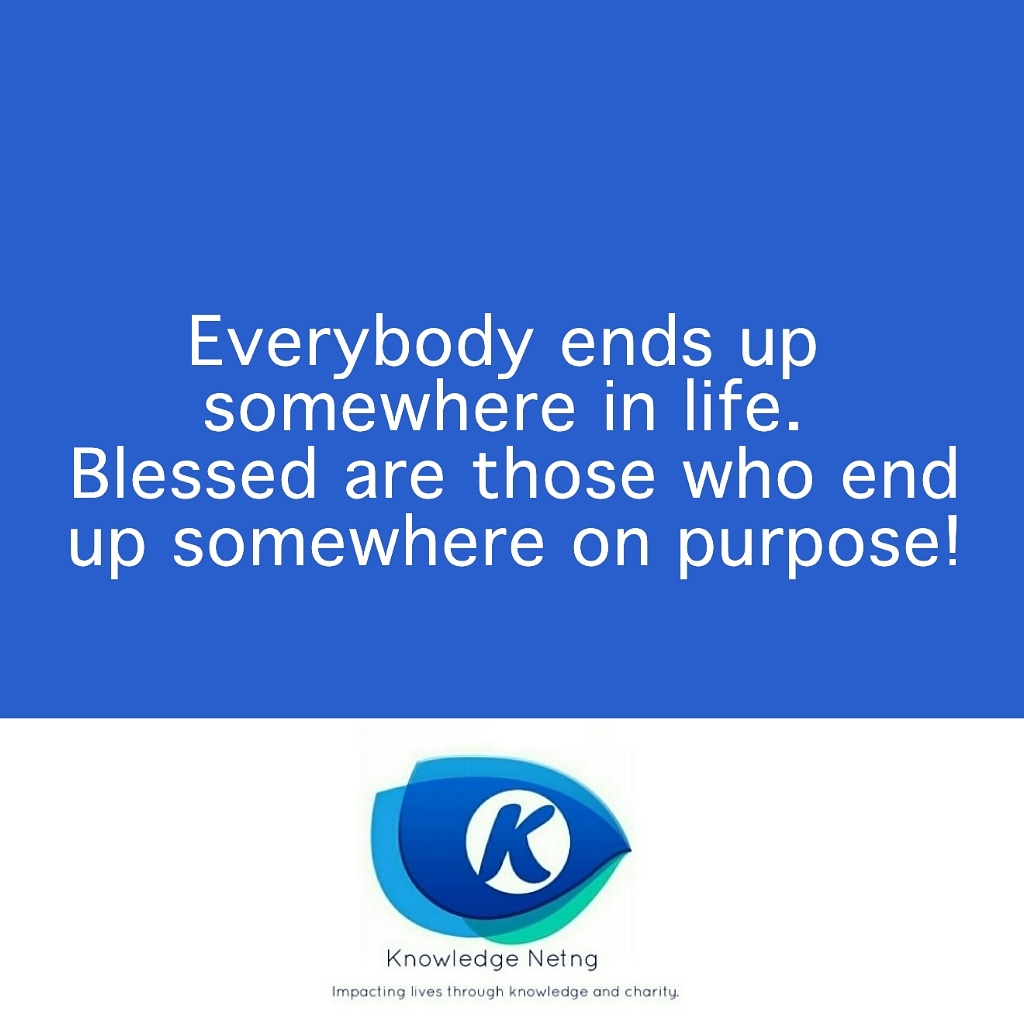 KNetng tweet picture
