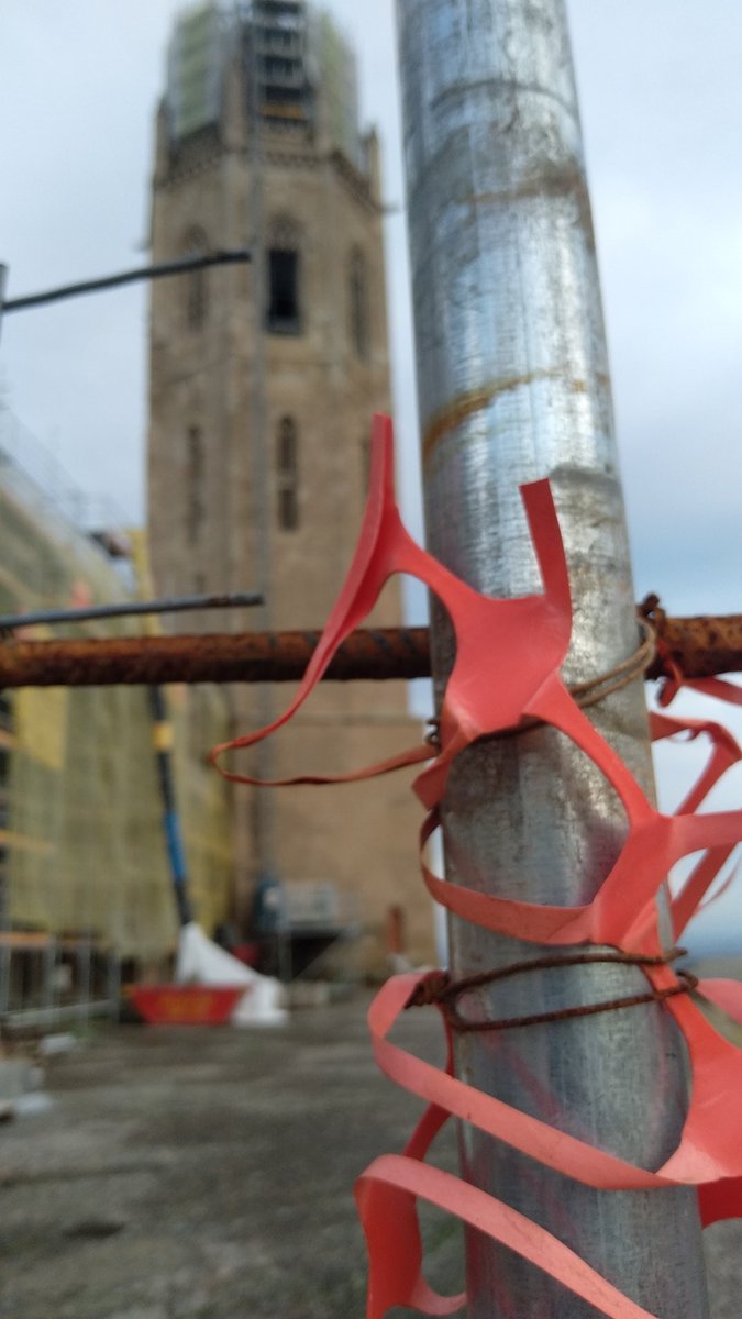 Lo Pixapí tweet media