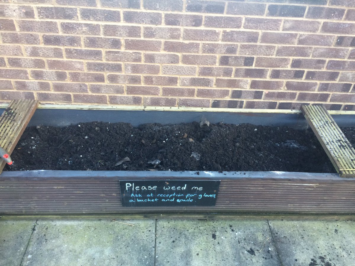 LettsomGrow's tweet photo. Before and after.
#SpeedWeeding ๐ช
#LettsomGrow @Projectsurgery1 https://t.co/JpB2hGHEWm