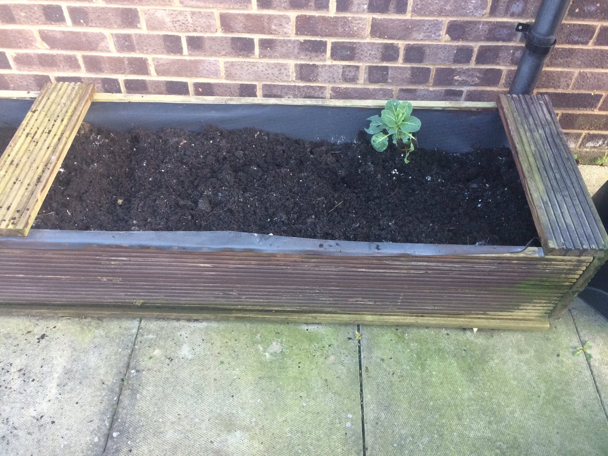 LettsomGrow's tweet photo. Before and after.
#SpeedWeeding ๐ช
#LettsomGrow @Projectsurgery1 https://t.co/JpB2hGHEWm