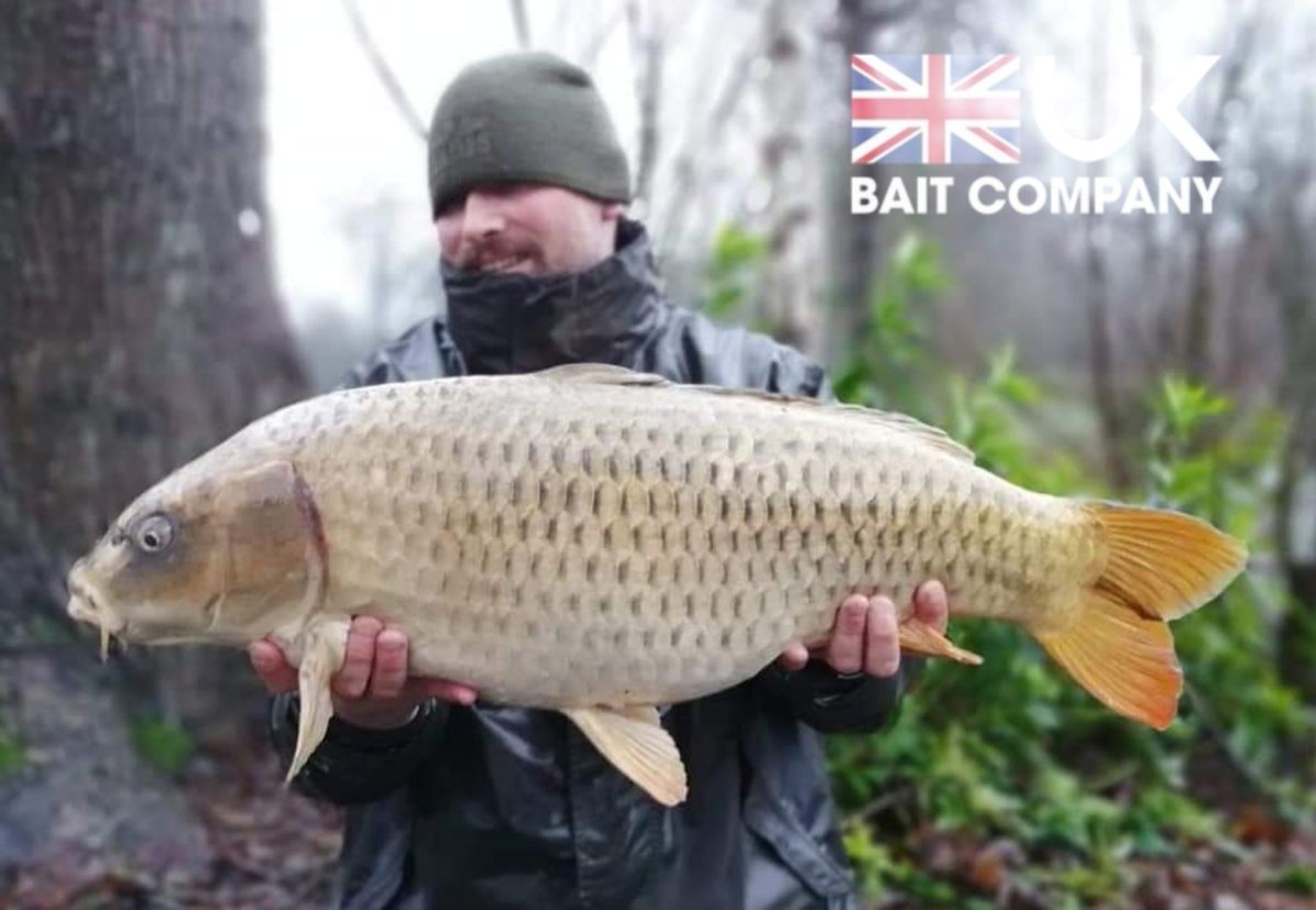 UKBaitCompany's tweet photo. "STORMY SUCCESS"
Ross Blake has continued his exellent start to 2020 landing over 10 fish in gale force winds and heavy rain on his latest sessions topped off by this immaculate ghost common at 22.02.. Ross used the new SA1  wafters to temp all his fish 🎣 #UKBAITCOMPANY #SA1 https://t.co/45fVbU0Pv0