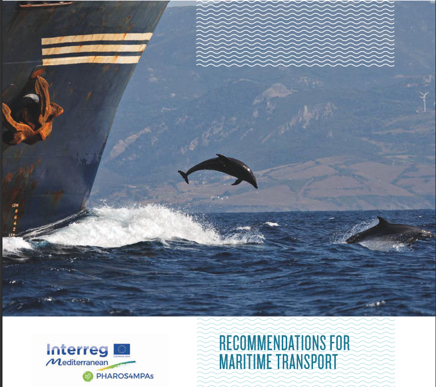MedPAN (@medpan) on Twitter photo Webinaire #PHAROS4MPAs AMP / Transport maritime - Lundi 27 janvier 15h - Intéressé (e) ? contactez cpiante@wwf.fr
MPAs / maritime transport #PHAROS4MPAs webinar - Monday, January 27th 3pm - Interested? Contact cpiante@wwf.fr Webinaire #PHAROS4MPAs AMP / Transport maritime - Lundi 27 janvier 15h - Intéressé (e) ? contactez cpiante@wwf.fr
MPAs / maritime transport #PHAROS4MPAs webinar - Monday, January 27th 3pm - Interested? Contact cpiante@wwf.fr