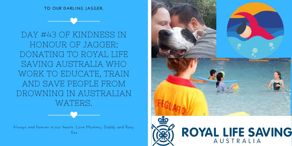 pranksnpups's tweet photo. Day #43 of Kindness for Jagger Pledge: Donating to Royal Life Saving Australia. #Forjagger #inmemoryofjagger #Swimming #SafetyFirst #drowning #prevention @RoyalLifeSaving https://t.co/hTUqKwV1Oa