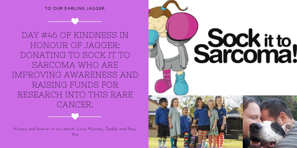 pranksnpups's tweet photo. Day #46 of Kindness for Jagger Pledge: Donating to Sock it to Sarcoma - A rare cancer that often affects children and young adults including a dear friend - RIP Emma Pauley. #forjagger #inmemoryofjagger @sockittosarcoma #CancerAwareness https://t.co/6lVrPL8B5S