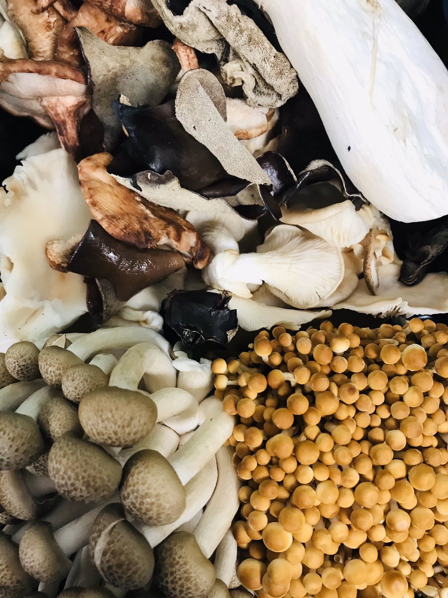 TweetnEatDublin's tweet photo. @RewDublin @TwitterDublin Happy Monday..! Freshly delivered wild mushrooms for one of our lunch dishes today #FavFunghi #ChefsPrep https://t.co/C7IeRum8Ls