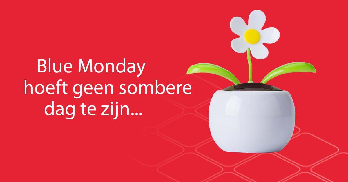Helden_Belgie's tweet photo. Kan jij wel een opkikker gebruiken op Blue Monday? Blue Monday hoeft geen sombere dag te zijn! Zet onze leuke solar bloempot op je bureau en je krijgt gegarandeerd een glimlach op je gezicht. Zo start je deze Blue Monday een stuk vrolijker! ► https://t.co/vjpWHnrvT5 #vanhelden https://t.co/t7U1m6vDzx