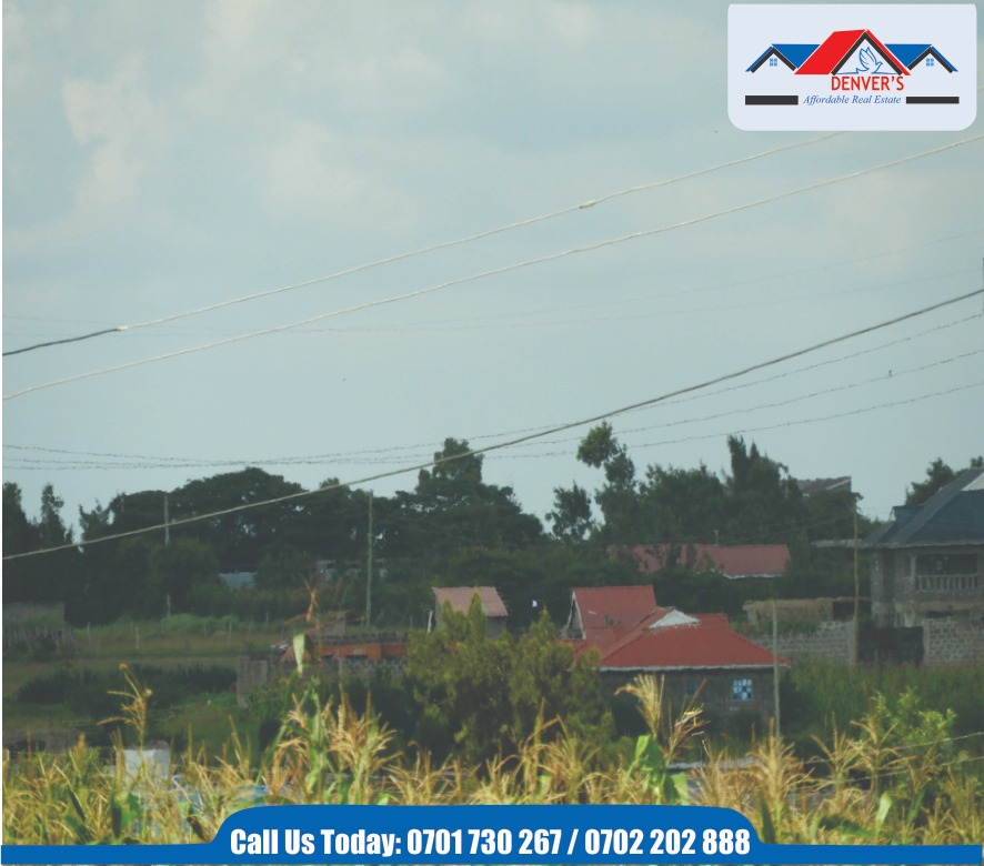 Denversltd's tweet photo. The best investment is buying real estate. Its one of the most secure with high returns. Talk to us 0701 730 267, 0702 202 888 and start your investment journey by purchasing a plot in Brooklyn Ridge Gardens in Joska Town. https://t.co/1fFbxevVty https://t.co/2jFnSMoxc2
