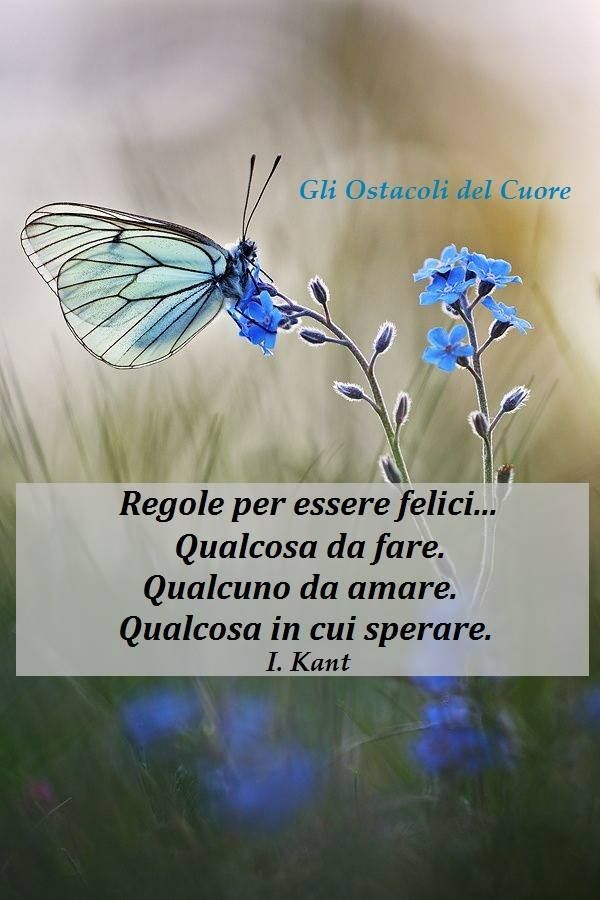 Margaeta Pensierodelgiorno T Co Seobgqmuk7 Twitter